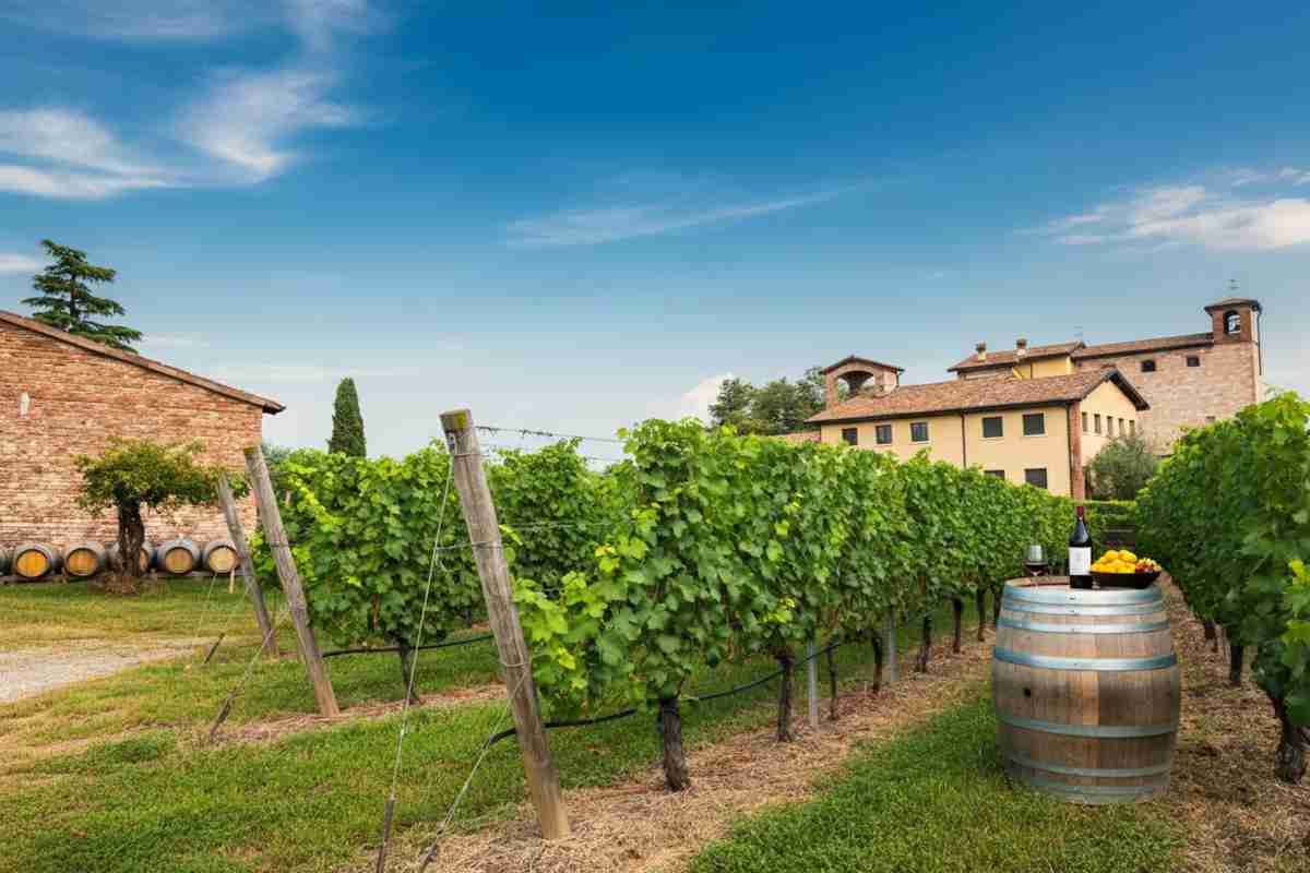Verona celebra l'enoturismo: i migliori del Best Of Wine Tourism 2026
