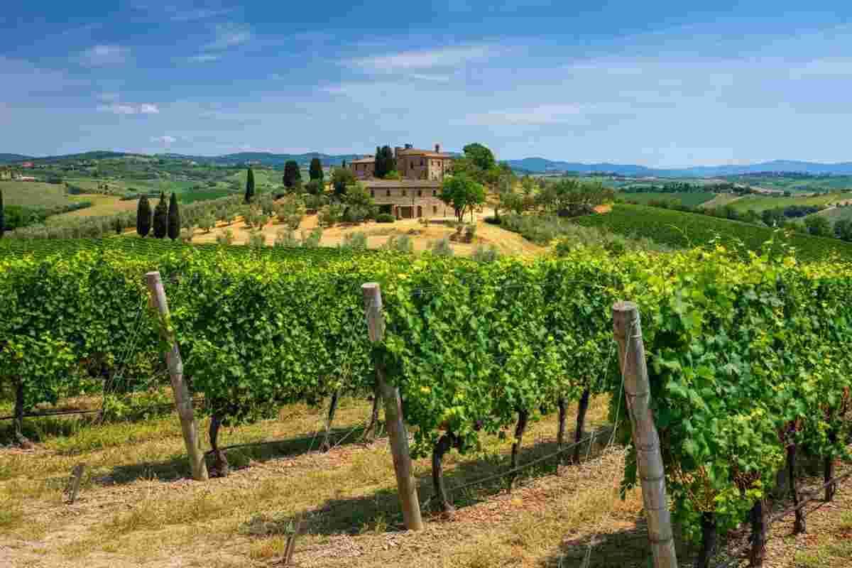 Villa Capezzana: un secolo di passione e tradizione nel vino