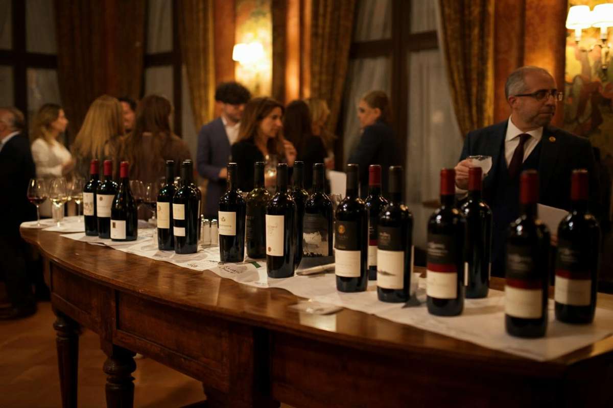 Vini italiani di qualità: perché il mercato tedesco è fondamentale per il successo internazionale