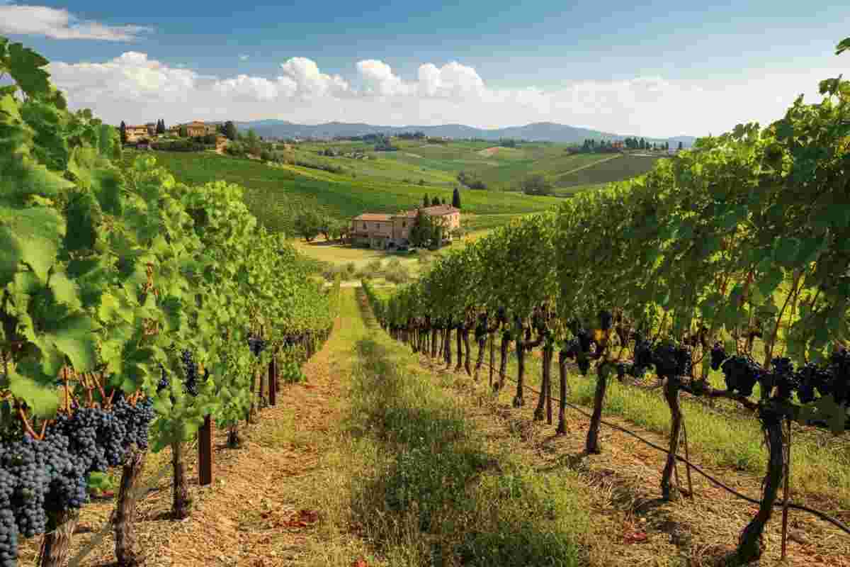 Brunello in evoluzione: un nuovo inizio per il vino simbolo della Toscana