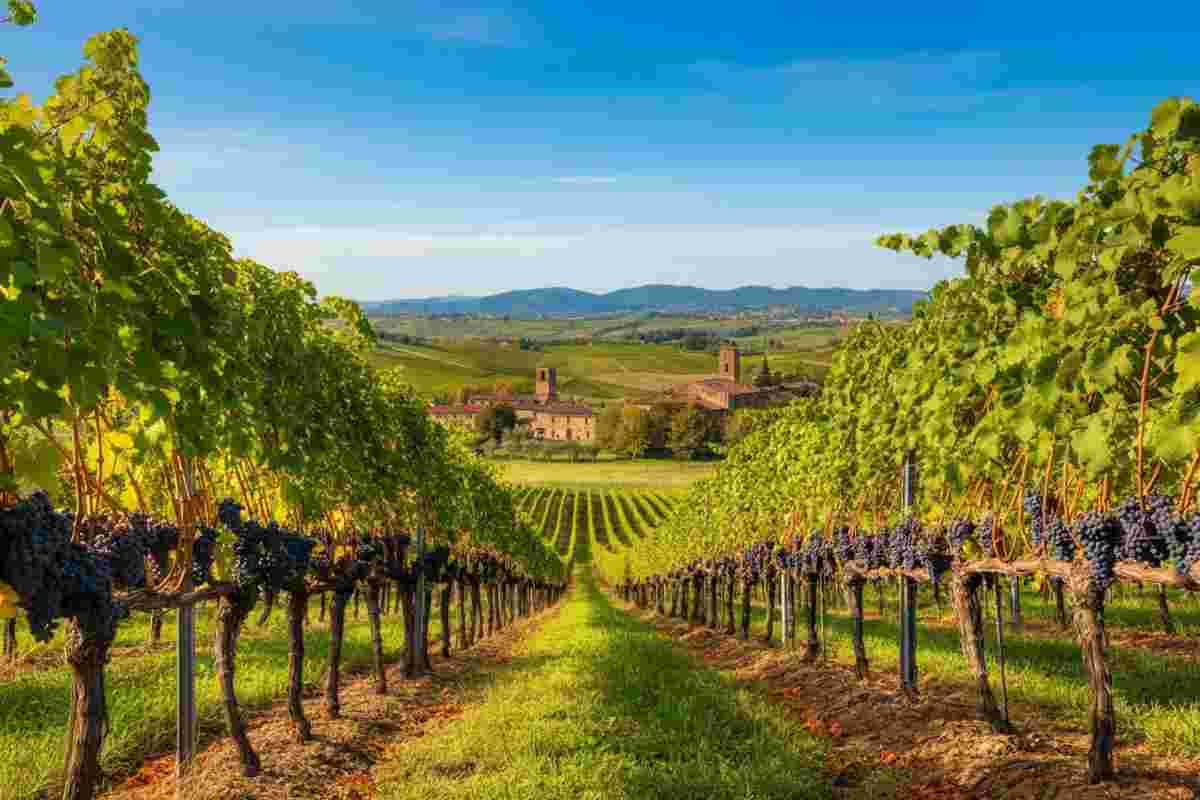 Ferrari trionfa e l'Italia conquista 20 vini nella Top 100 Cellar Selection di Wine Enthusiast