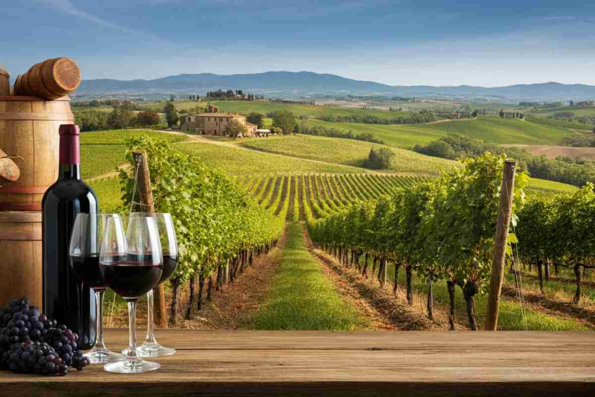 Il futuro del turismo del vino: raccontare i territori per una crescita condivisa