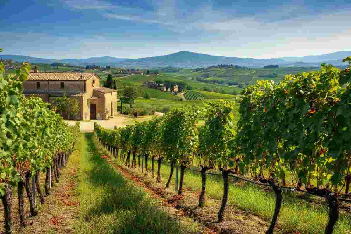 Il futuro del vino in Europa: opportunità e sfide nel Pacchetto vino della Comagri