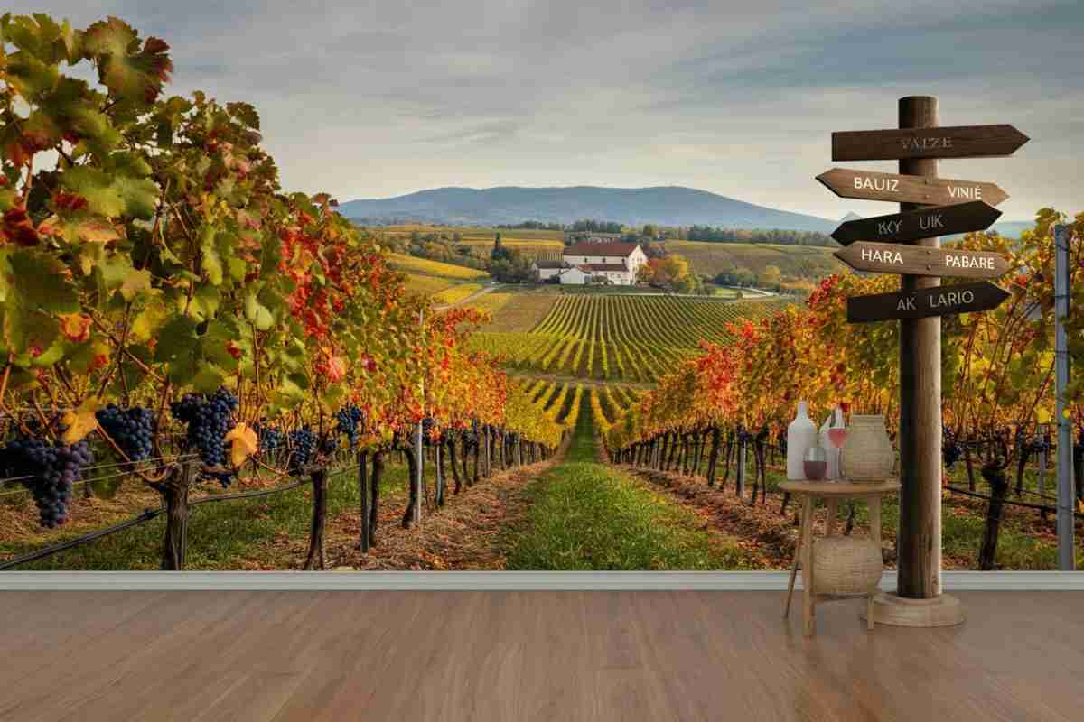 Il pacchetto vino: ottimismo tra le categorie, ma le criticità persistono