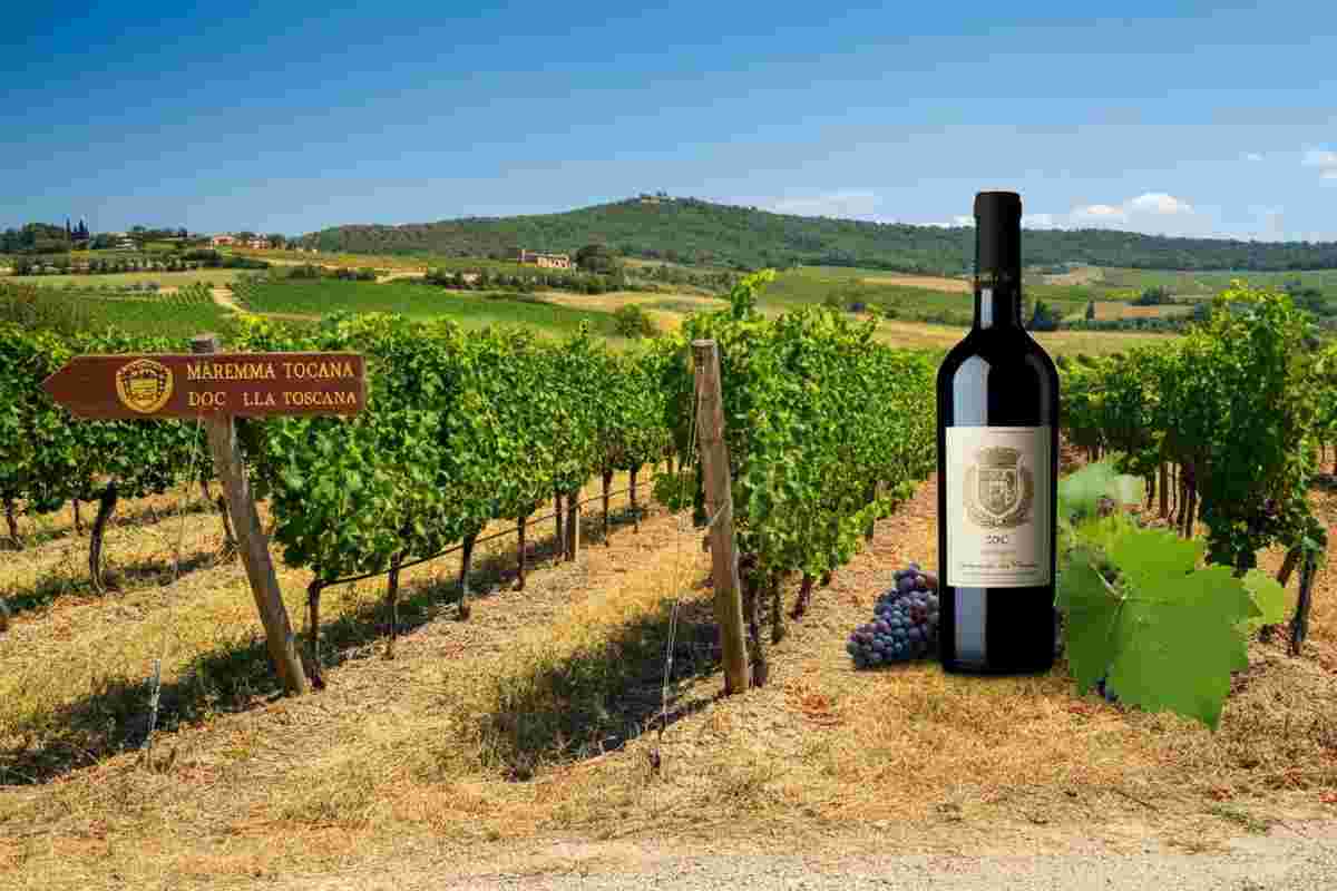 Il segreto della fascetta doc: come il Consorzio Tutela Vini della Maremma Toscana sta rivoluzionando il settore vinicolo