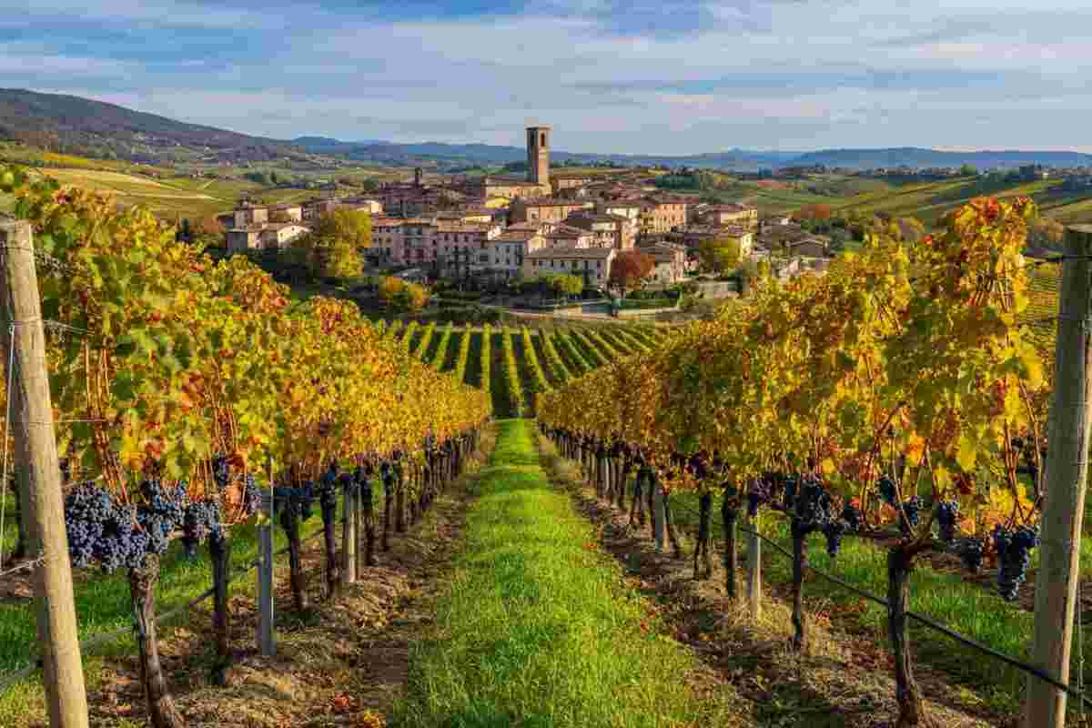 Il vino italiano: un tesoro da promuovere unito