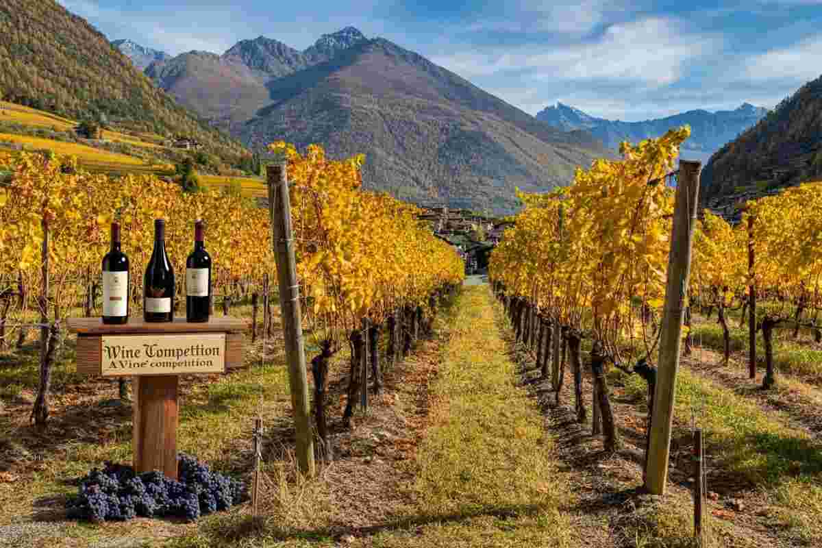 Michele Lauriola conquista tre ori al Mondial des Vins Extrêmes 2025