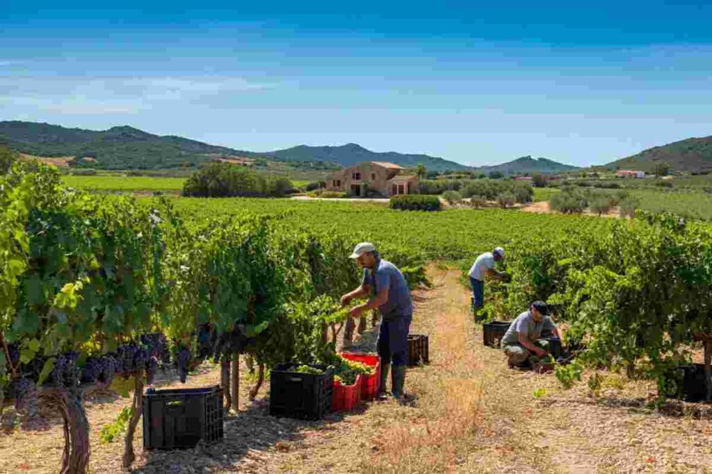 Neri Marcorè svela il fascino del premio eno-letterario “Vermentino”