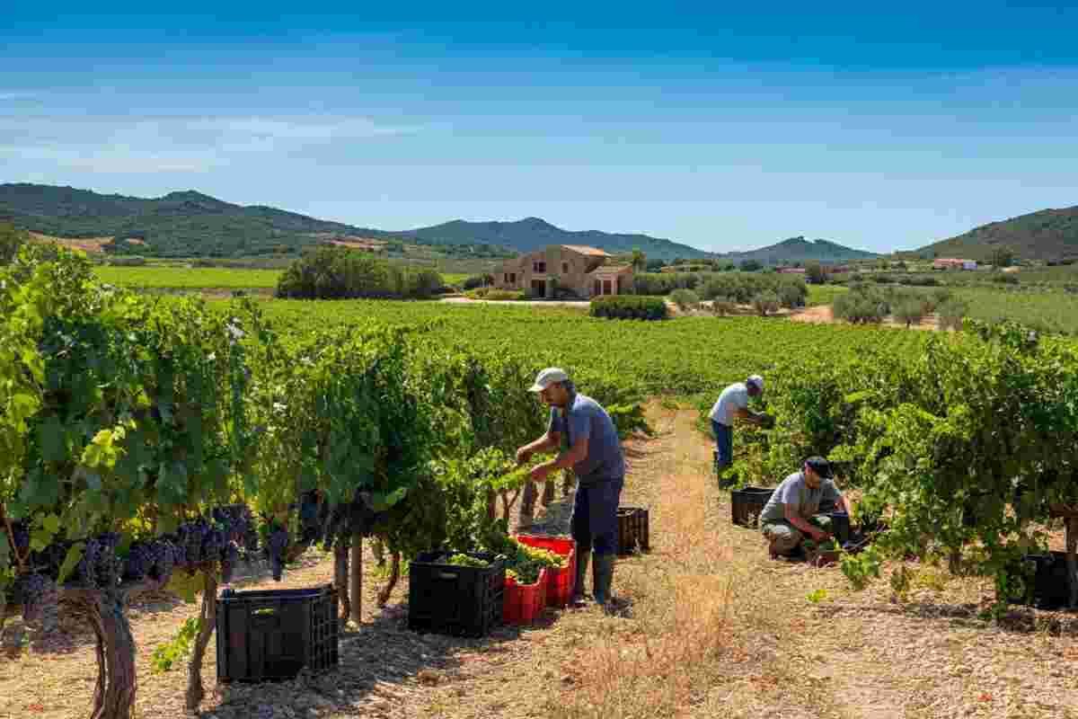 Neri Marcorè svela il fascino del premio eno-letterario “Vermentino”