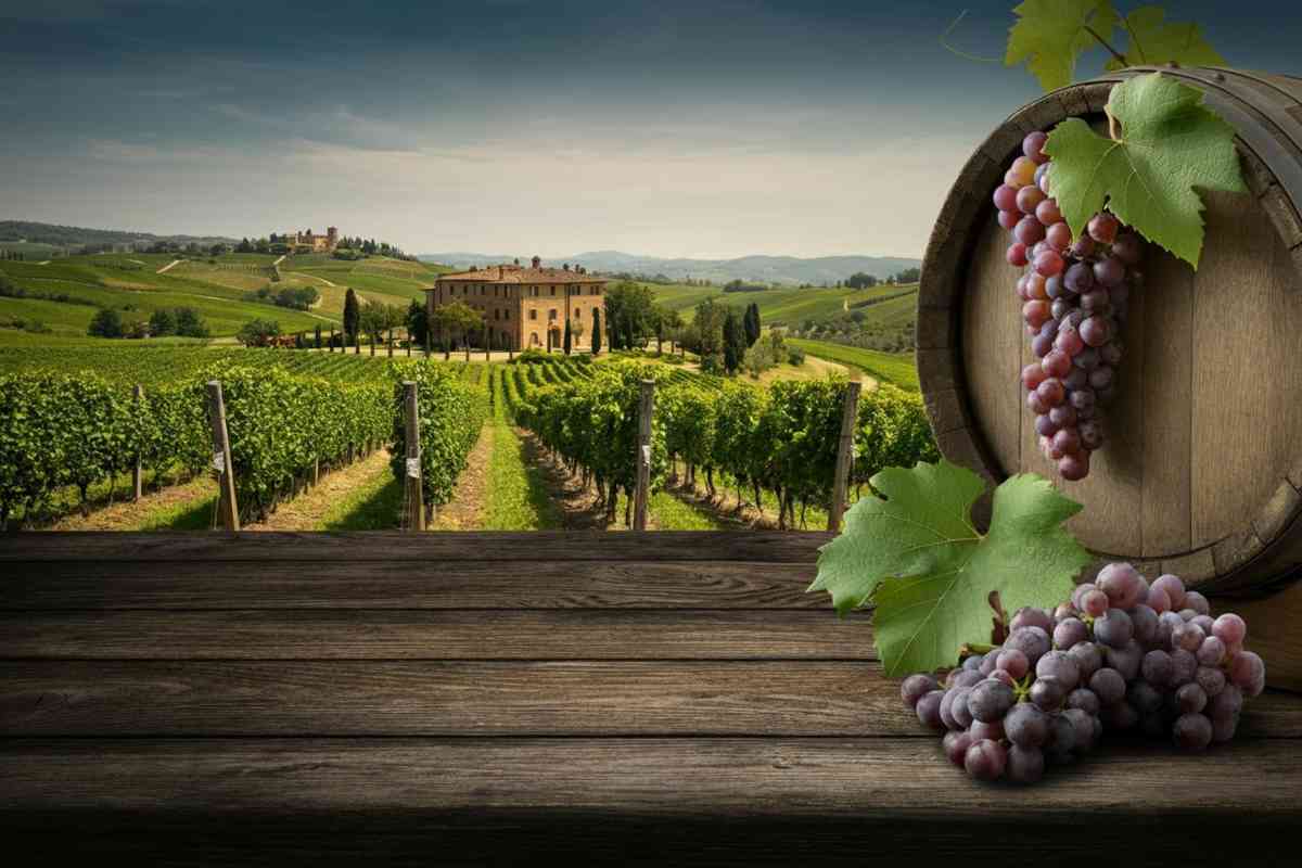 Piccini 1882 riscopre le Langhe con una nuova alleanza con la cantina Michele Mascarello