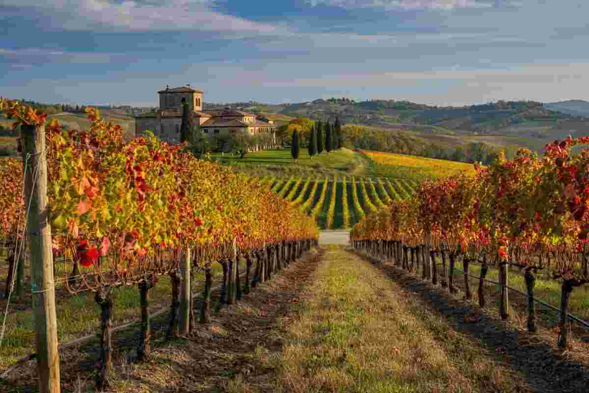 Premi speciali e la “Top 300” di Vinibuoni d’Italia 2026: scopri i protagonisti come Cremisan e Caprai