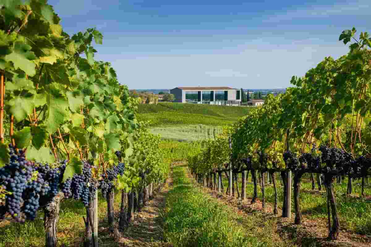 Prosecco Doc lancia una nuova versione a basso contenuto alcolico