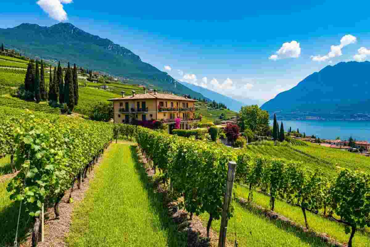Rambaldi Apartments: un trionfo al Global Best Of Wine Tourism di Guerrieri Rizzardi