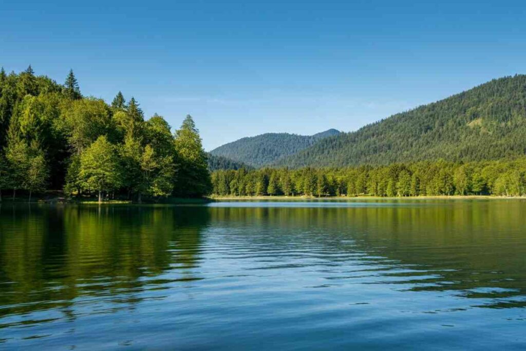 Scopri il Friuli Malvasia 2023: un viaggio tra sapori e tradizioni