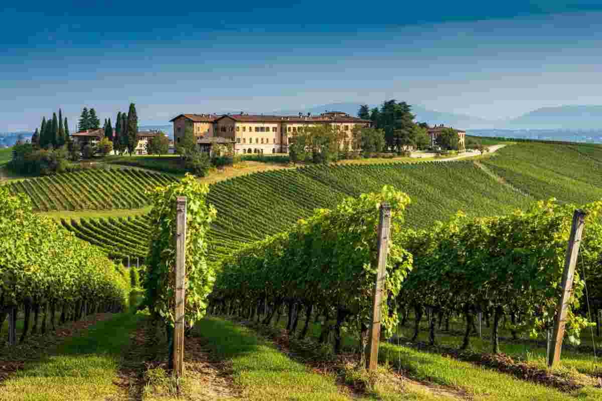 Scopri il fascino del Cuvage Asti DOCG Millesimato: un viaggio nel metodo classico