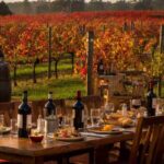 Scopri l'autunno in vigna: undici giorni di Cantine Aperte a San Martino