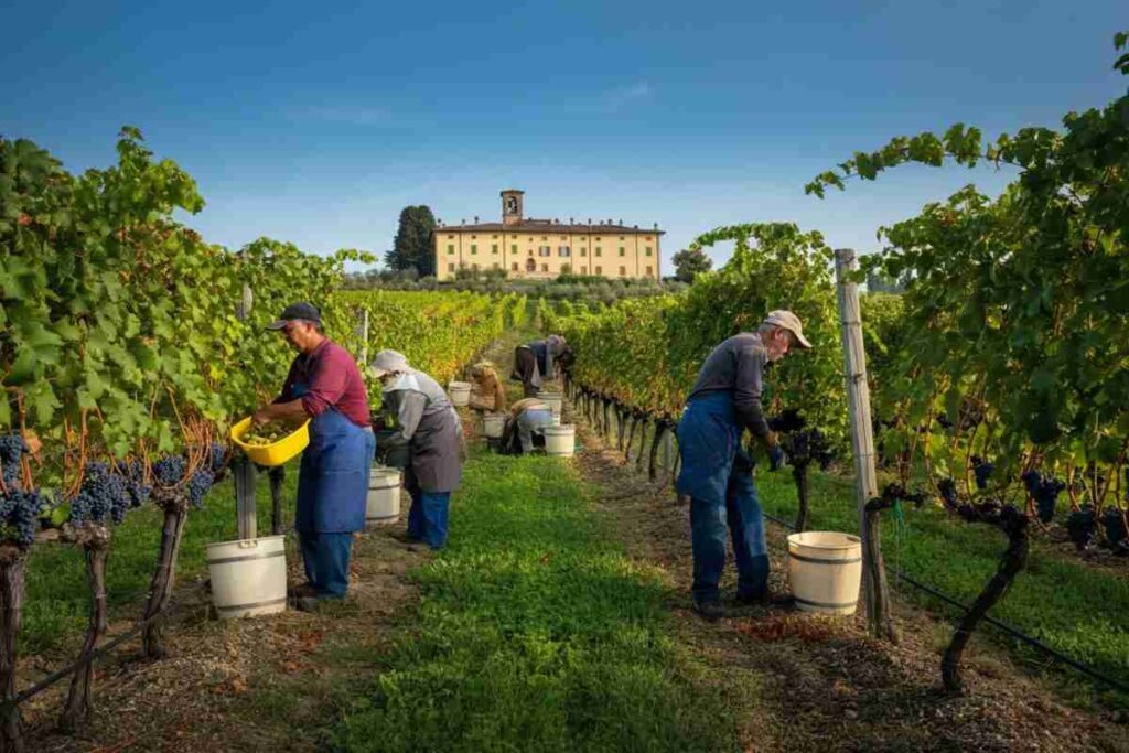 Uiv e ministro Tajani: un incontro cruciale sui dazi Usa