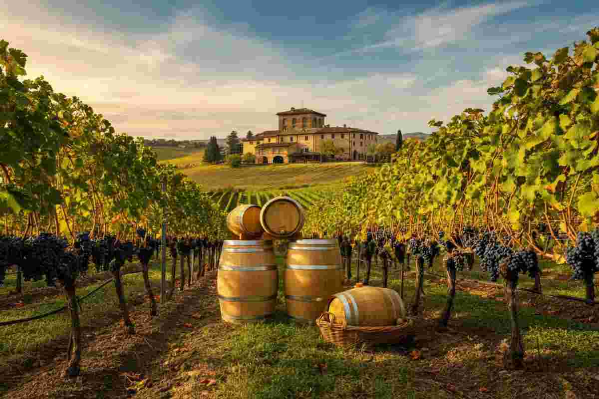 Un boost di 100 milioni per l'internazionalizzazione: il vino italiano guarda al futuro