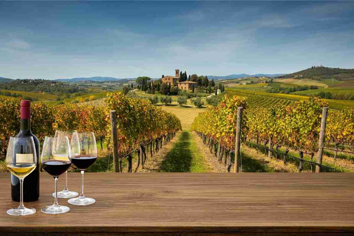 Un secolo di vino: la straordinaria storia di Villa Capezzana