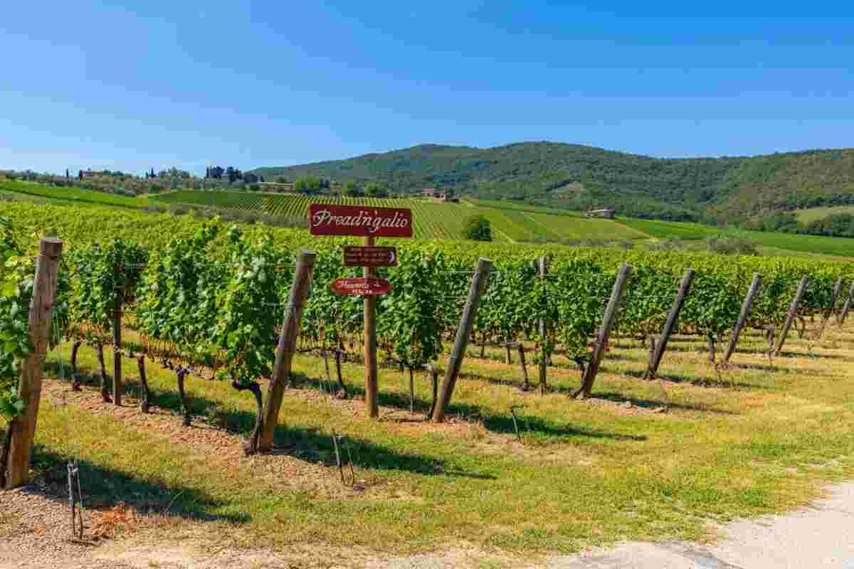 Vignaioli indipendenti: la battaglia contro gli ingredienti in etichetta