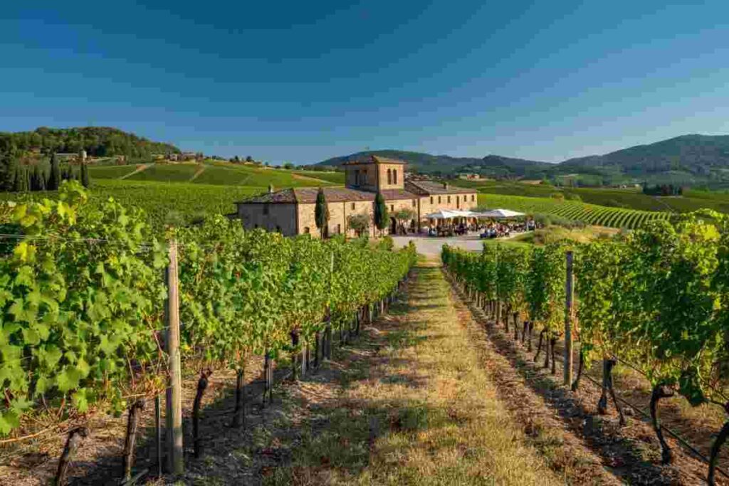 Violante Gardini Cinelli Colombini guida il MTV nazionale: una nuova era per il turismo italiano