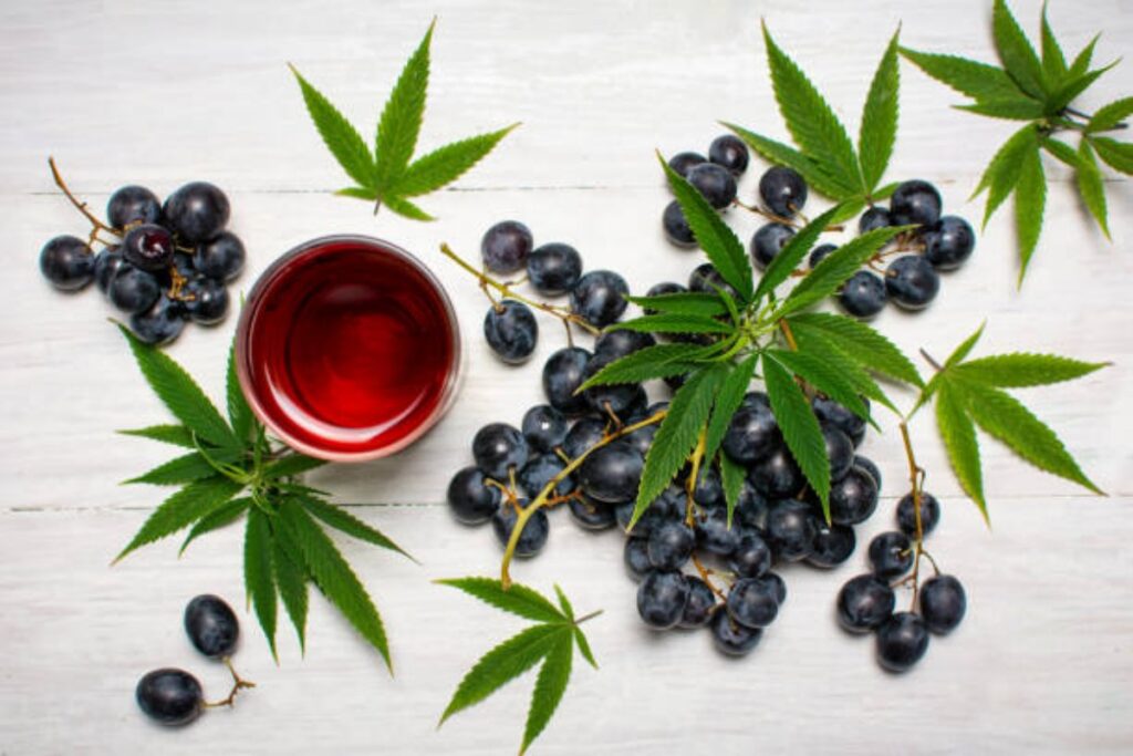 Cannabis e vino